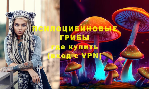 спиды Сясьстрой