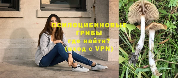 каннабис Тайга