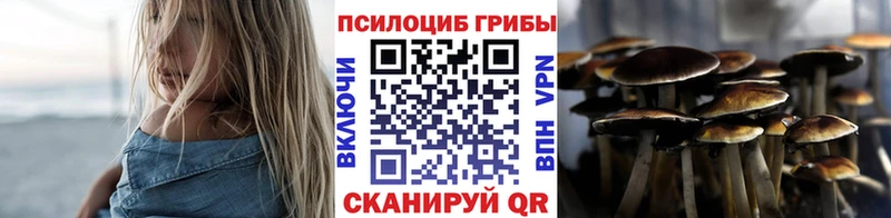 Псилоцибиновые грибы Psilocybe даркнет состав Новосибирск OMG зеркало