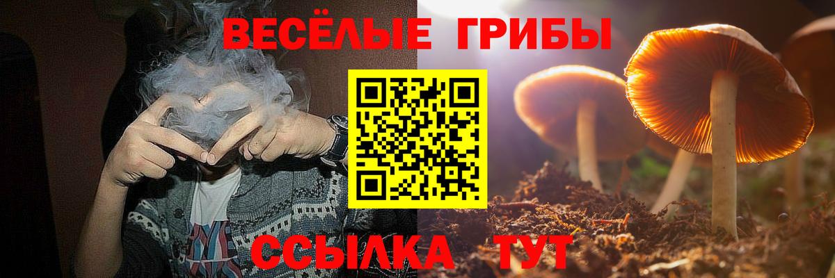 Галлюциногенные грибы Psilocybe  Вход с VPN  Новосибирск 